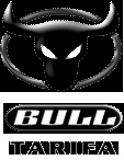 Symbol Bull.jpg
